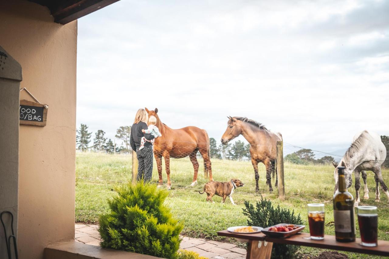 Fernhill Guest Farm Villa Knysna Eksteriør bilde