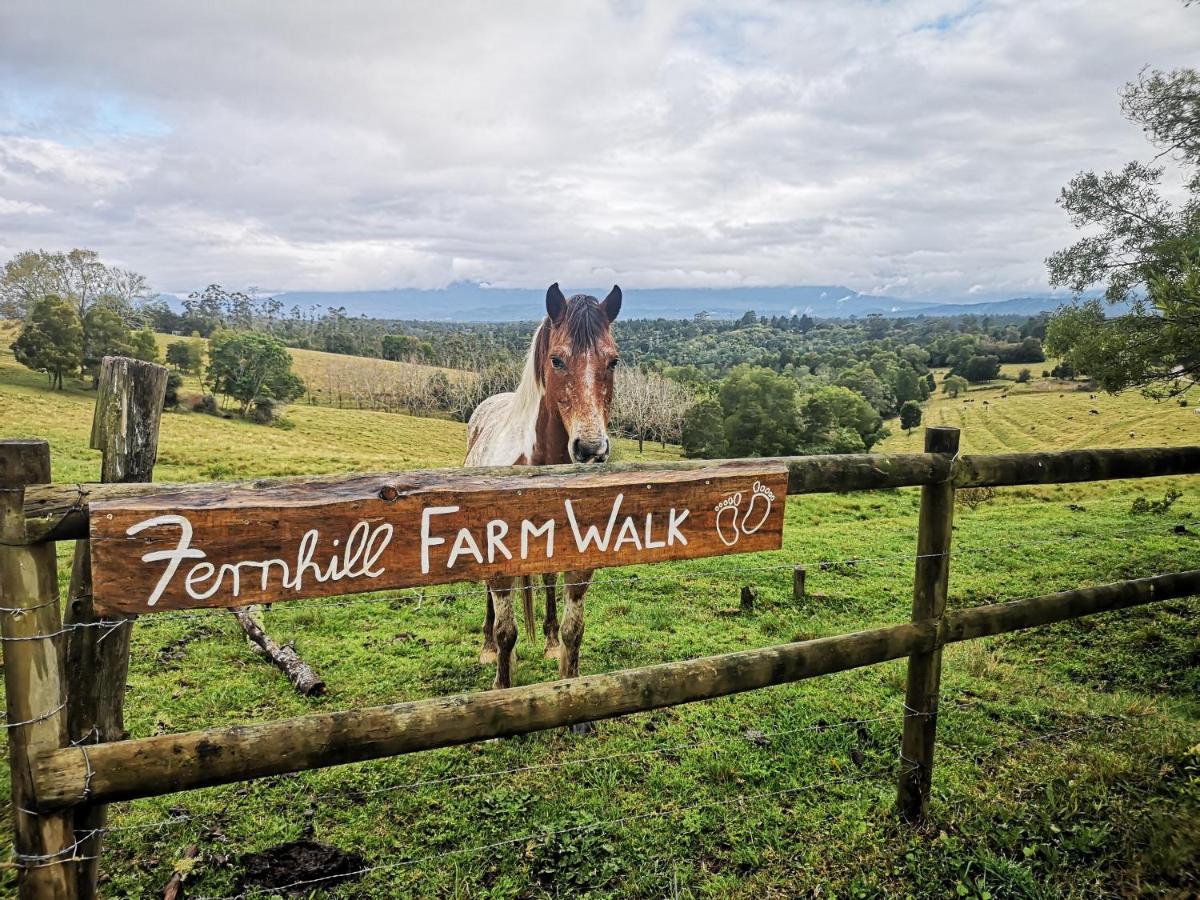Fernhill Guest Farm Villa Knysna Eksteriør bilde
