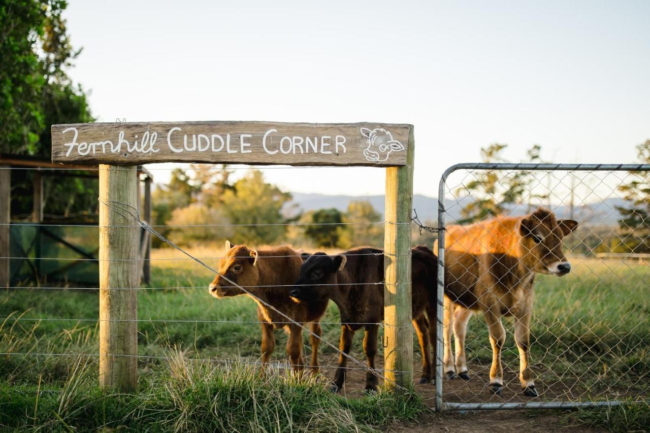 Fernhill Guest Farm Villa Knysna Eksteriør bilde