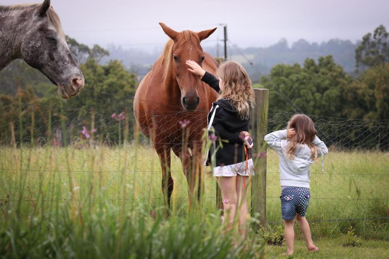 Fernhill Guest Farm Villa Knysna Eksteriør bilde